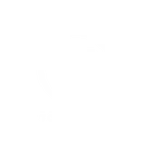 Tomasella